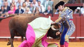 Gravísima cornada a Morante de Puebla en Sevilla: sufrió perforación de recto y fue operado de urgencia