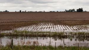 Campos inundados