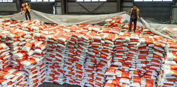 Imagen de trabajadores cubriendo fertilizantes con láminas en un almacén de la Estación del Ferrocarril de Niuchang del Ferrocarril Weng'an-Machangping, en la provincia de Guizhou, en el suroeste de China. Para garantizar el suministro oportuno de fertilizantes para la producción agrícola de primavera, el operador del Ferrocarril Weng'an-Machangping ha intensificado sus labores de gestión y organización. Este año, la línea ha transportado más de 1.664 vagones de carga de fertilizantes, con un total de más de 100.000 toneladas.