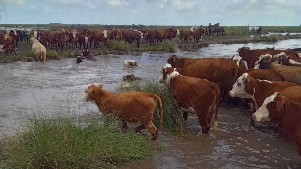 Inundaciones en Vera, Santa Fe 21042026