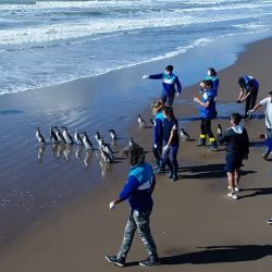 En su gran mayoría presentaban cuadros de desnutrición y deshidratación