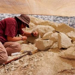 La técnica Ana Moreno Rodríguez buscando fósiles en la excavación de Paleoteius. 