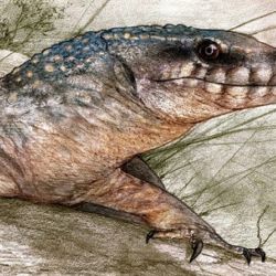 Reconstrucción de Paleoteius.