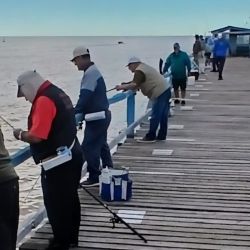 La última quincena de abril ofrece buenos resultados de pesca, aunque el clima no ayuda.