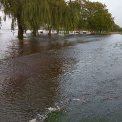 La última quincena de abril ofrece buenos resultados de pesca, aunque el clima no ayuda.
