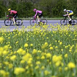 El pelotón participa en la carrera ciclista de un día «La Flecha Valona», de 200 km, desde Herstal hasta Huy, Bélgica. | Foto:JASPER JACOBS / Belga / AFP