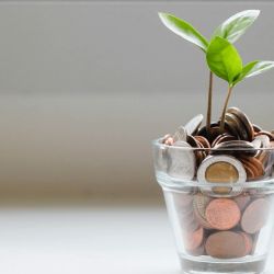 Inversiones agro | Foto:CEDOC