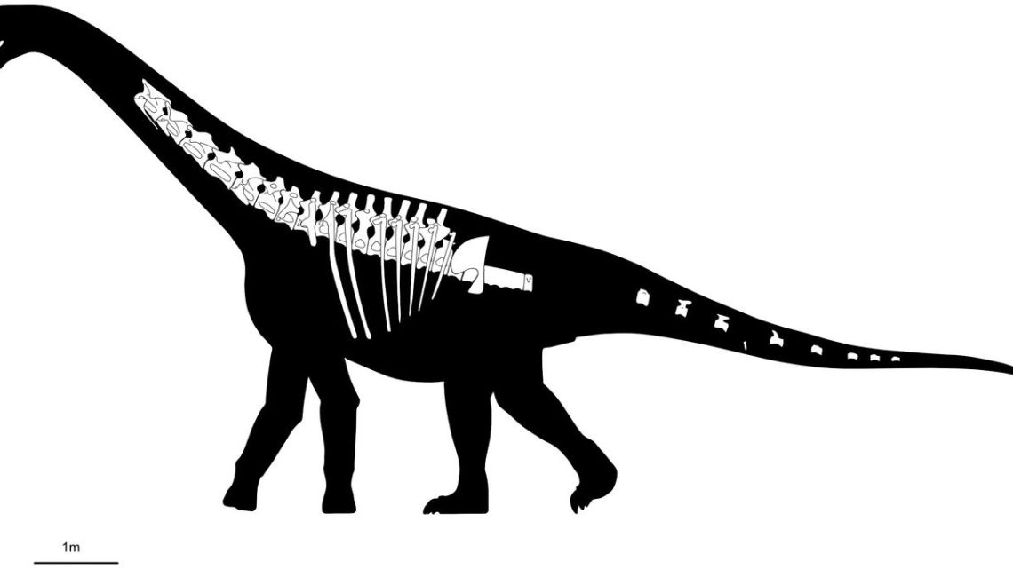 Otro descubrimiento de dinosaurios: los científicos descubren el ‘Bicharracosaurus’ en la Patagonia