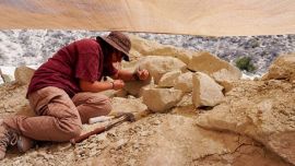 Científicos argentinos hallan restos fósiles de una milenaria especie de reptil en la Patagonia