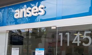 Anses 22042026