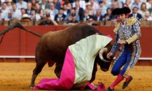Operaron de urgencia a un torero tras recibir una cornada.