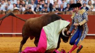 Operaron de urgencia a un torero tras recibir una cornada.