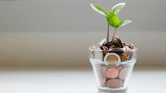 Agro y datos: cómo los algoritmos cambian el negocio