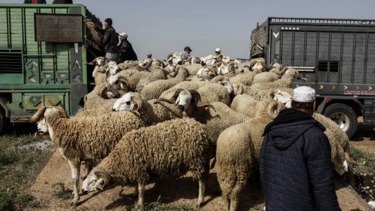 El nuevo modelo económico de Marruecos