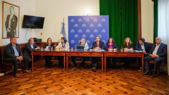 Senadores del NEA impulsan una tarifa eléctrica diferenciada con rebajas de hasta el 50%