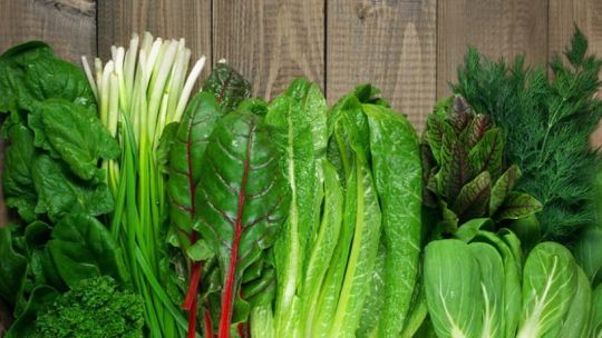 Las lluvias y la crisis económica golpean al cinturón verde de Córdoba