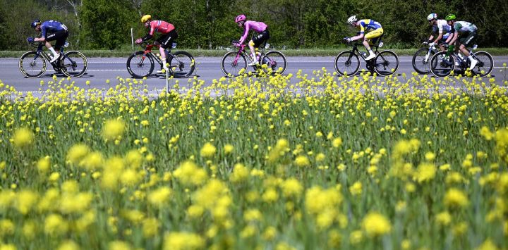 El pelotón participa en la carrera ciclista de un día «La Flecha Valona», de 200 km, desde Herstal hasta Huy, Bélgica.