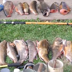 Estos casos reflejan la importancia de los operativos de fiscalización en zonas sensibles, donde la presión sobre el recurso ictícola es constante. 