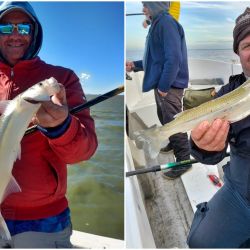 Los guías comenzaron a dejar de lado especies como bogas y dorados para enfocarse en un pez que despierta pasión. El pejerrey del Río de la Plata.
