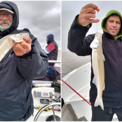 Los guías comenzaron a dejar de lado especies como bogas y dorados para enfocarse en un pez que despierta pasión. El pejerrey del Río de la Plata.