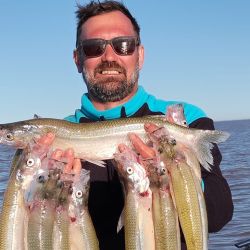 Los guías comenzaron a dejar de lado especies como bogas y dorados para enfocarse en un pez que despierta pasión. El pejerrey del Río de la Plata.