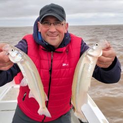 Los guías comenzaron a dejar de lado especies como bogas y dorados para enfocarse en un pez que despierta pasión. El pejerrey del Río de la Plata.