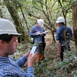 Un innovador proyecto de certificación de créditos de carbono se llevará a cabo en la localidad de Cruce Caballero, ubicada en el departamento San Pedro de la provincia de Misiones. Esta ubicación es estratégica, ya que funciona como un corredor biológico vital entre los ecosistemas de Argentina y Brasil.  La iniciativa que es liderada por la empresa Nideport busca restaurar el bosque nativo y fortalecer la biodiversidad en una zona clave para la conectividad ecológica. "A través de este modelo, se intenta proteger a especies emblemáticas y en riesgo, como los monos carayá. El objetivo final es integrar tecnología de vanguardia con el trabajo activo de las comunidades locales y originarias", explicaron los especialistas.  “Este tipo de proyectos son clave para conservar la biodiversidad y, al mismo tiempo, generar modelos sostenibles que integren a las comunidades locales”, señaló Juan Núñez, cofundador de la mencionada firma que, como parte de este proceso de restauración, proyecta la plantación de 30.000 árboles nativos, con el objetivo de contribuir tanto a la regeneración del bosque como, así también, al fortalecimiento de la biodiversidad local.  Uno de los pilares fundamentales de esta iniciativa es el uso de tecnología propia basada en inteligencia artificial que permite detectar de forma temprana focos de calor y eventos de deforestación mediante el uso de drones. Además, el plan de restauración incluye la ambiciosa meta de plantar 30.000 árboles nativos para recuperar la funcionalidad del ecosistema.  “La tecnología es la clave para escalar el impacto. Con nuestra plataforma tecnológica, podemos administrar decenas de millones de hectáreas sin limitaciones operativas. Esto nos permite mejorar la gestión del territorio en múltiples dimensiones: por ejemplo, detectar, prevenir y apagar incendios, reduciéndose en más de un 90%. Es solo un caso de uso; la solución se adapta a distintos contextos y desafíos, señaló Tomás R. V. Gutiérrez, CFO de la firma.  El enfoque del proyecto es integral y cuenta con el apoyo técnico de organizaciones reconocidas como Aves Argentinas. El trabajo colaborativo involucra a familias rurales y escuelas de la zona para fomentar una sólida educación ambiental. Actualmente, un equipo de más de treinta especialistas en biodiversidad y restauración trabaja directamente en el campo. Se brindan capacitaciones a los habitantes locales en el uso de herramientas tecnológicas para fortalecer sus capacidades. Esta sinergia entre expertos y comunidad garantiza que el impacto positivo del proyecto sea profundo y duradero.  Al certificar créditos de carbono, se genera un incentivo financiero que respalda la protección a largo plazo de la selva, en tanto que Misiones se consolidará como un laboratorio vivo de innovación ambiental que integra biodiversidad, sociedad y tecnología y el éxito de este corredor biológico representará una enorme esperanza para el equilibrio ecológico regional.