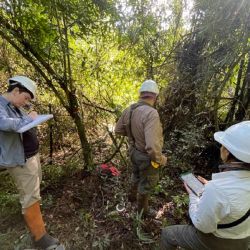 El proyecto prevé la plantación de 30.000 árboles nativos, acciones de protección de fauna y el uso de inteligencia artificial y drones para el seguimiento del territorio en tiempo real.