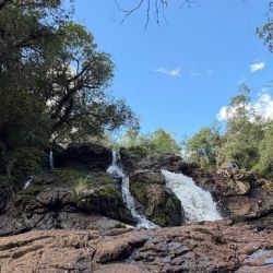 Este tipo de proyectos son clave para conservar la biodiversidad y, al mismo tiempo, generar modelos sostenibles que integren a las comunidades locales