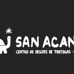 Logo del futuro santuario de tortugas 