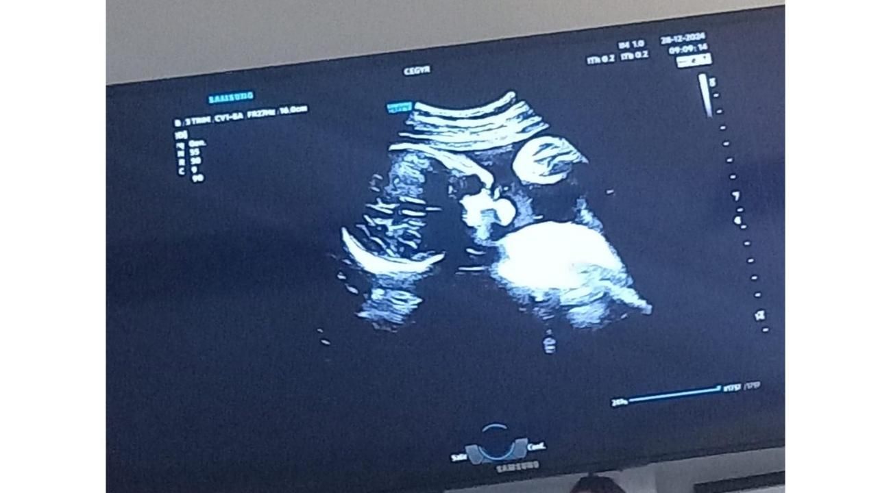 Dra. Gabriela Basualdo: el arte de acompañar la fertilidad con ciencia y sensibilidad