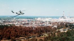 Bosque Rojo de pinos Chernobyl 23042026