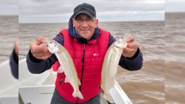 Ya está el pejerrey en Berisso: combativo, voraz y con piques explosivos