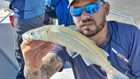 2404_mapa_pique_pesca