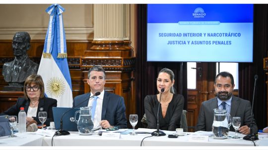 El Gobierno avanza en el Senado con la ley para blanquear armas de fuego