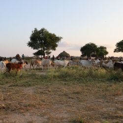 Ed Sttaford descubre y experimenta los rituales ancestrales de las tribus del planeta.