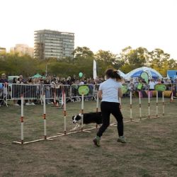 También se promoverá la adopción responsable, brindando información clave para quienes estén evaluando sumar un nuevo integrante a la familia.