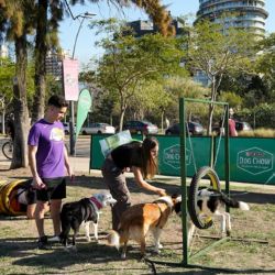 Los asistentes podrán acceder a un espacio de atención veterinaria con orientación profesional sobre nutrición