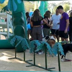 El evento combina propuestas recreativas y educativas orientadas a fortalecer el vínculo entre las personas y sus animales de compañía.