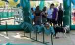 Día del Animal: una jornada para disfrutar en familia en el Paseo de la Costa de Vicente López