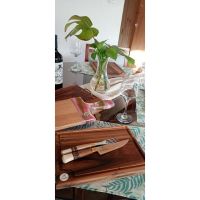 Albertina: La consolidación de un sueño que ya es marca registrada