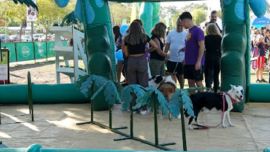 Día del Animal: una jornada para disfrutar en familia en el Paseo de la Costa de Vicente López