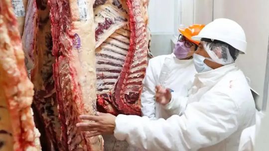 Seguridad jurídica y previsión: las claves para impulsar la venta de carne argentina al exterior