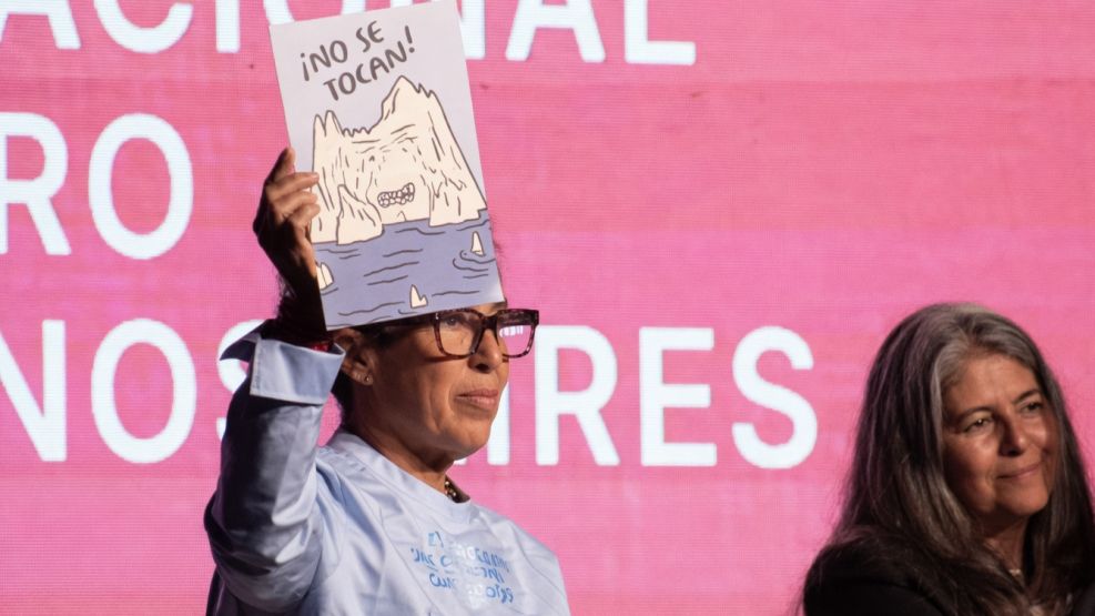 La escritora Gabriela Cabezón Cámara posa con una ilustración de un glaciar y el texto 'No se tocan'