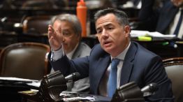 bornoroni reforma electoral