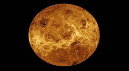 Venus