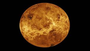 Venus