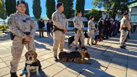 Javier Catoni y los equipos caninos