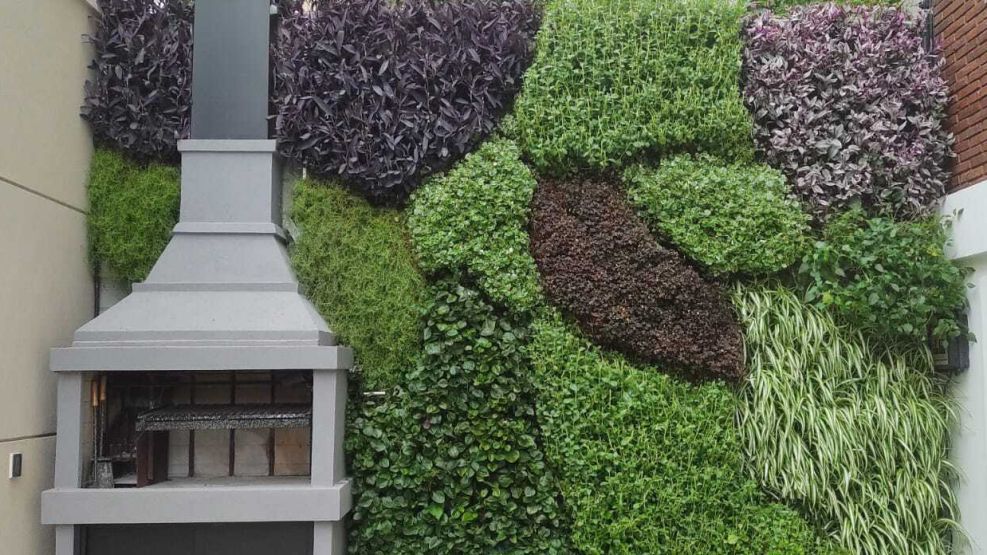 Techos verdes y jardines verticales