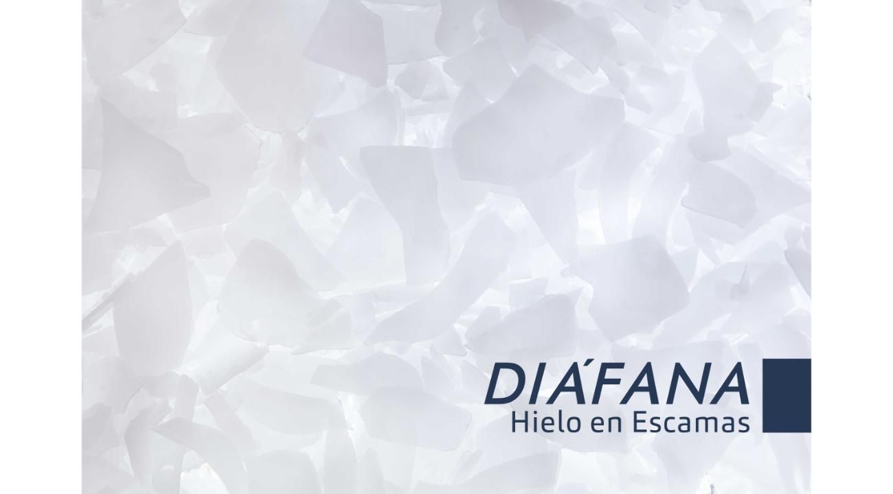 Acompañar para crecer: el diferencial detrás de los negocios que funcionan